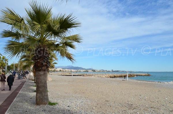 Grand Studio Tres Agreable Avec Bar, Cuisine Et Terrasse Cagnes-sur-Mer Exteriér fotografie